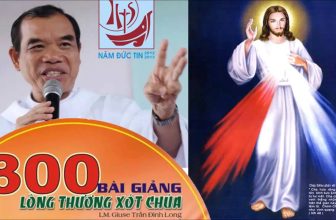 Tổng hợp 300 bài giảng lòng chúa thương xót của Cha Giuse Trần Đình Long. Tuyển tập các Bài Giảng Lòng Thương Xót Chúa Tại Giáo Điểm Tin Mừng Mới Nhất